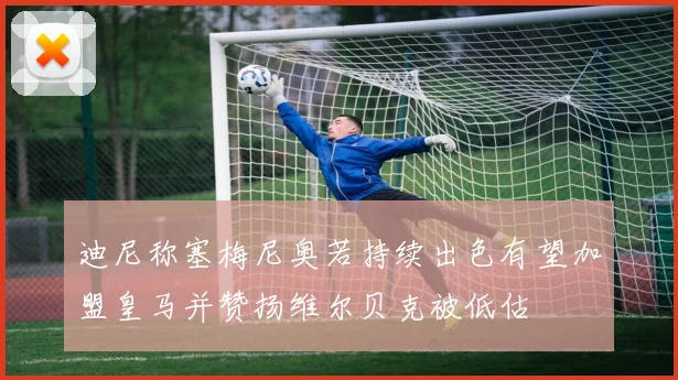 迪尼称塞梅尼奥若持续出色有望加盟皇马并赞扬维尔贝克被低估