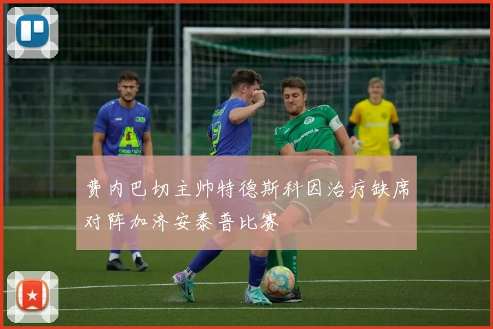费内巴切主帅特德斯科因治疗缺席对阵加济安泰普比赛