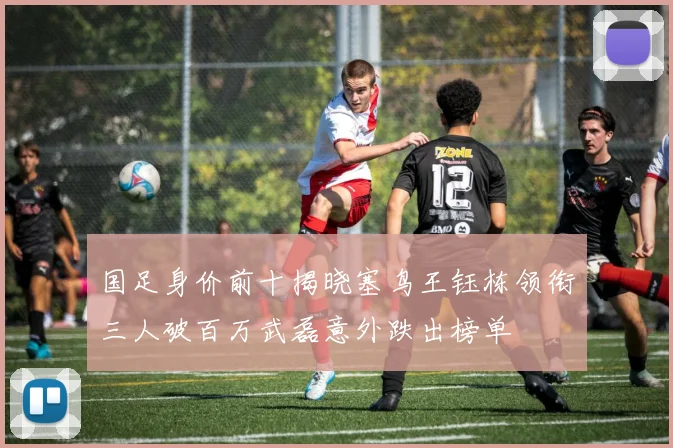 国足身价前十揭晓塞鸟王钰栋领衔三人破百万武磊意外跌出榜单